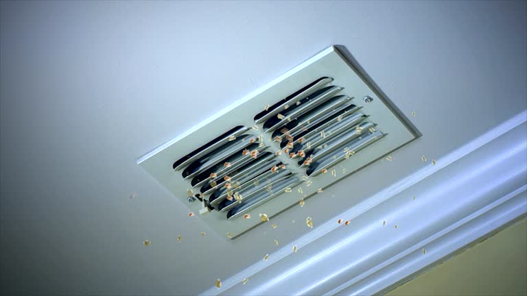 Trusted Ramona, CA Airduct Cleaning Experts