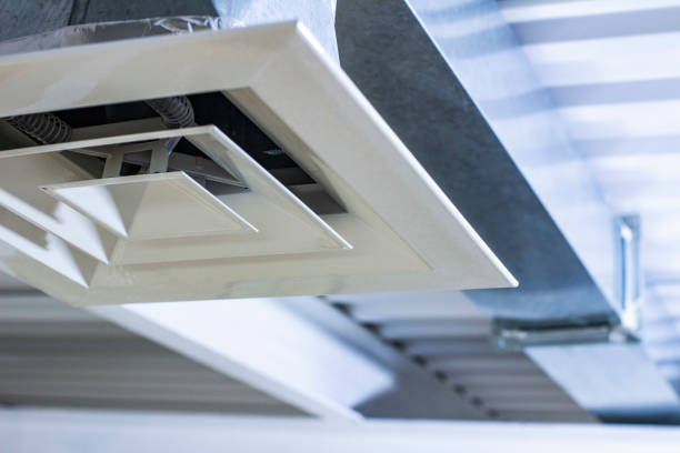 Best Air Duct Mold Removal  in Ramona, CA