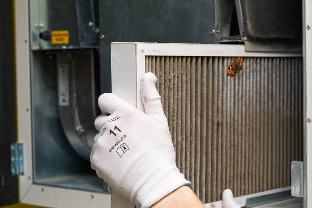 Best Home Air Vent Cleaning  in Ramona, CA