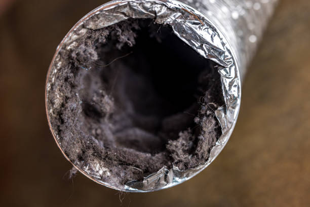 Best Ductwork Cleaning Services  in Ramona, CA